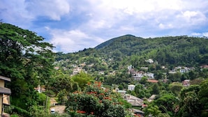 Un pueblo en la ladera de una colina, con casas integradas en un exuberante follaje y una colina destacada al fondo.