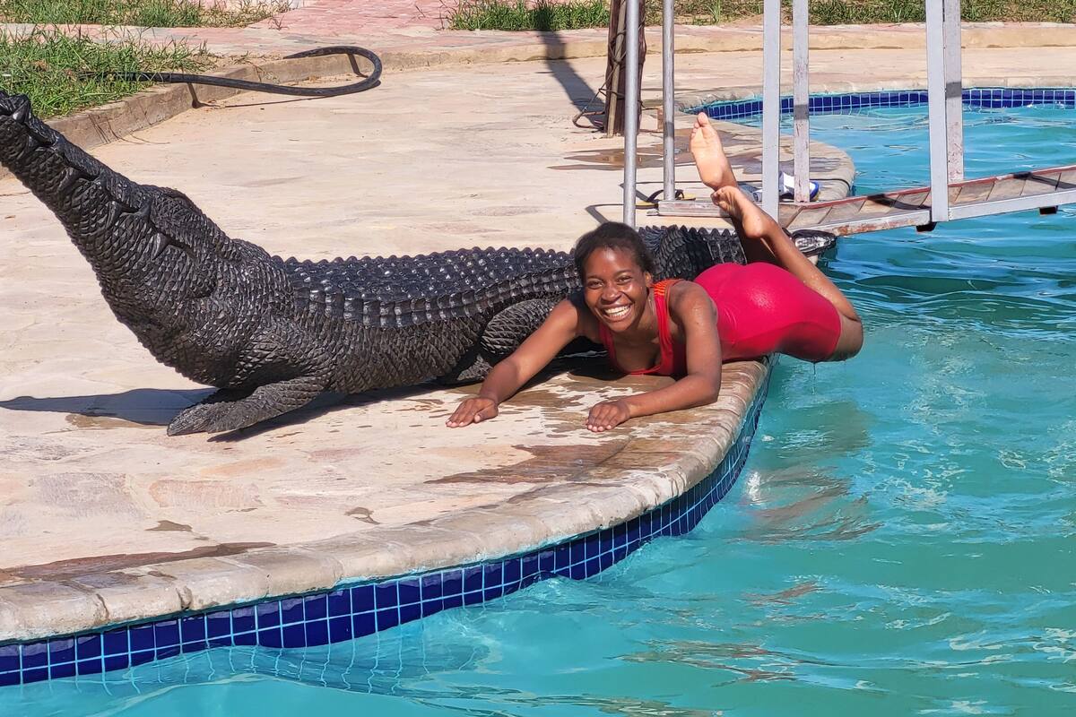 A person lying on a pool edge with a large alligator sculpture.