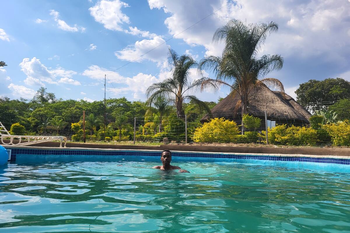 A swimming pool with clear water, surrounded by lush greenery and a thatched-roof structure.
