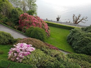 花園