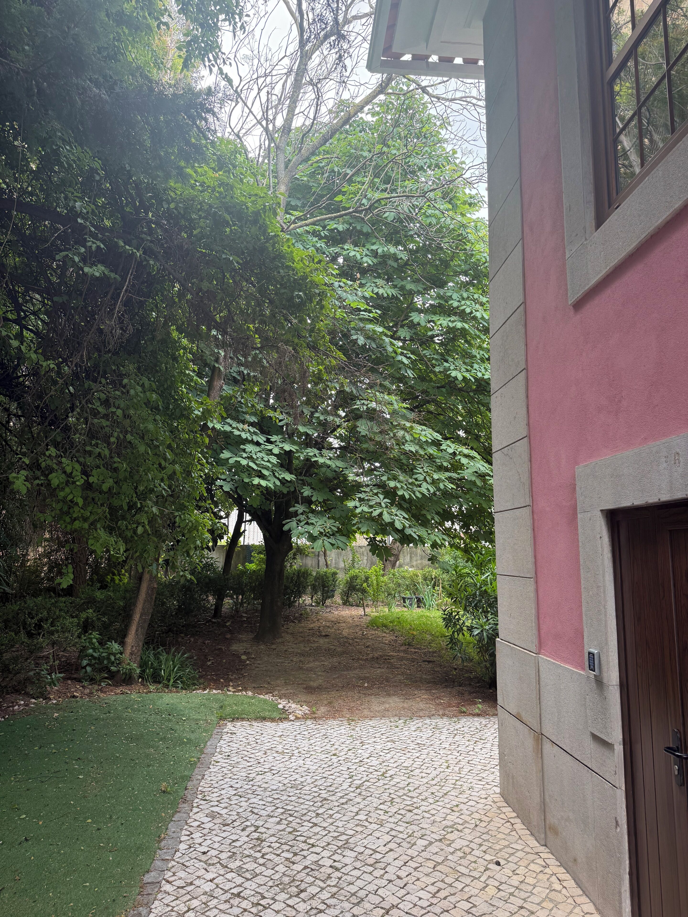 Photo - Le Jardin
