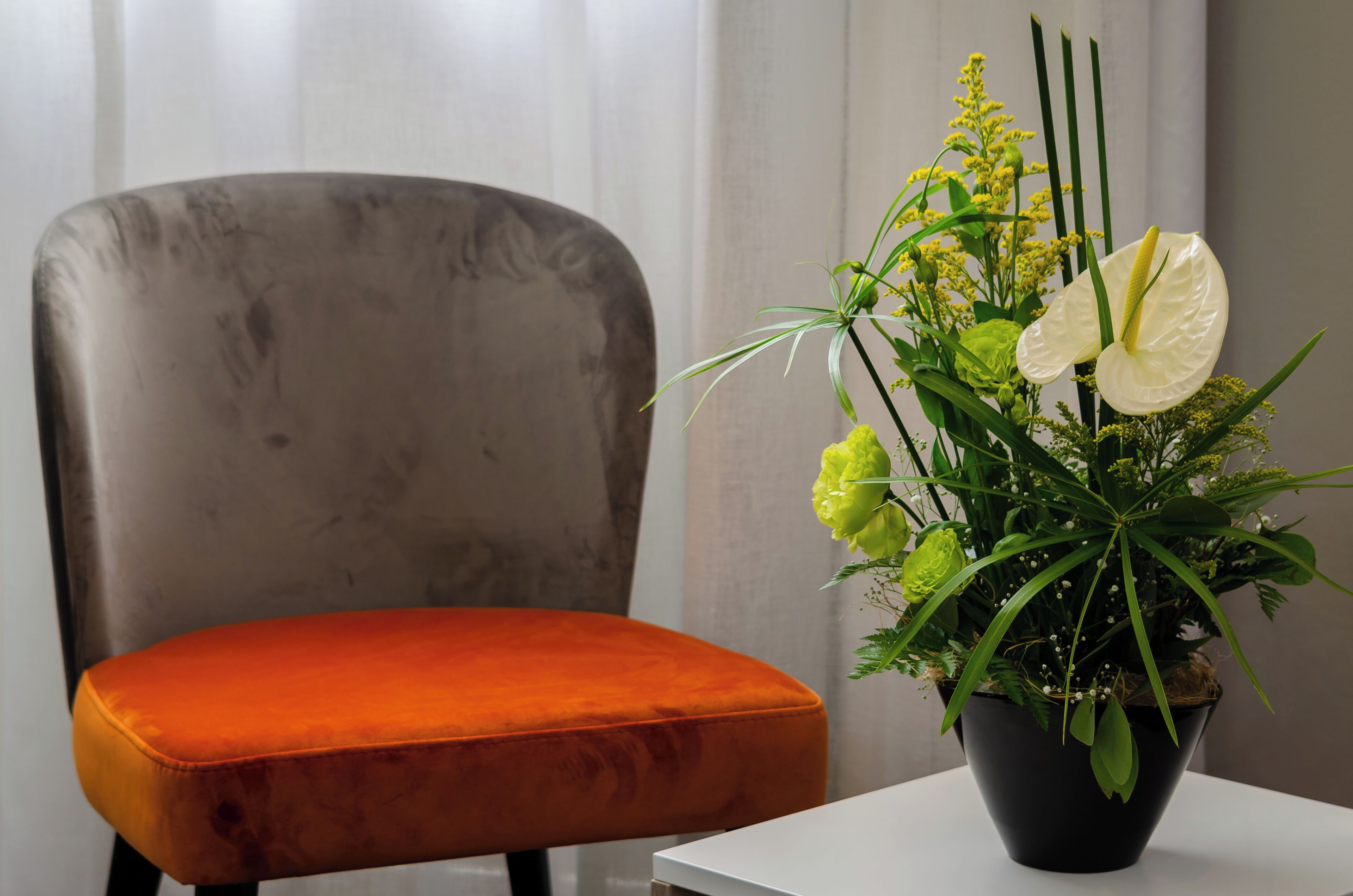 Photo - Le Jardin Lisbon