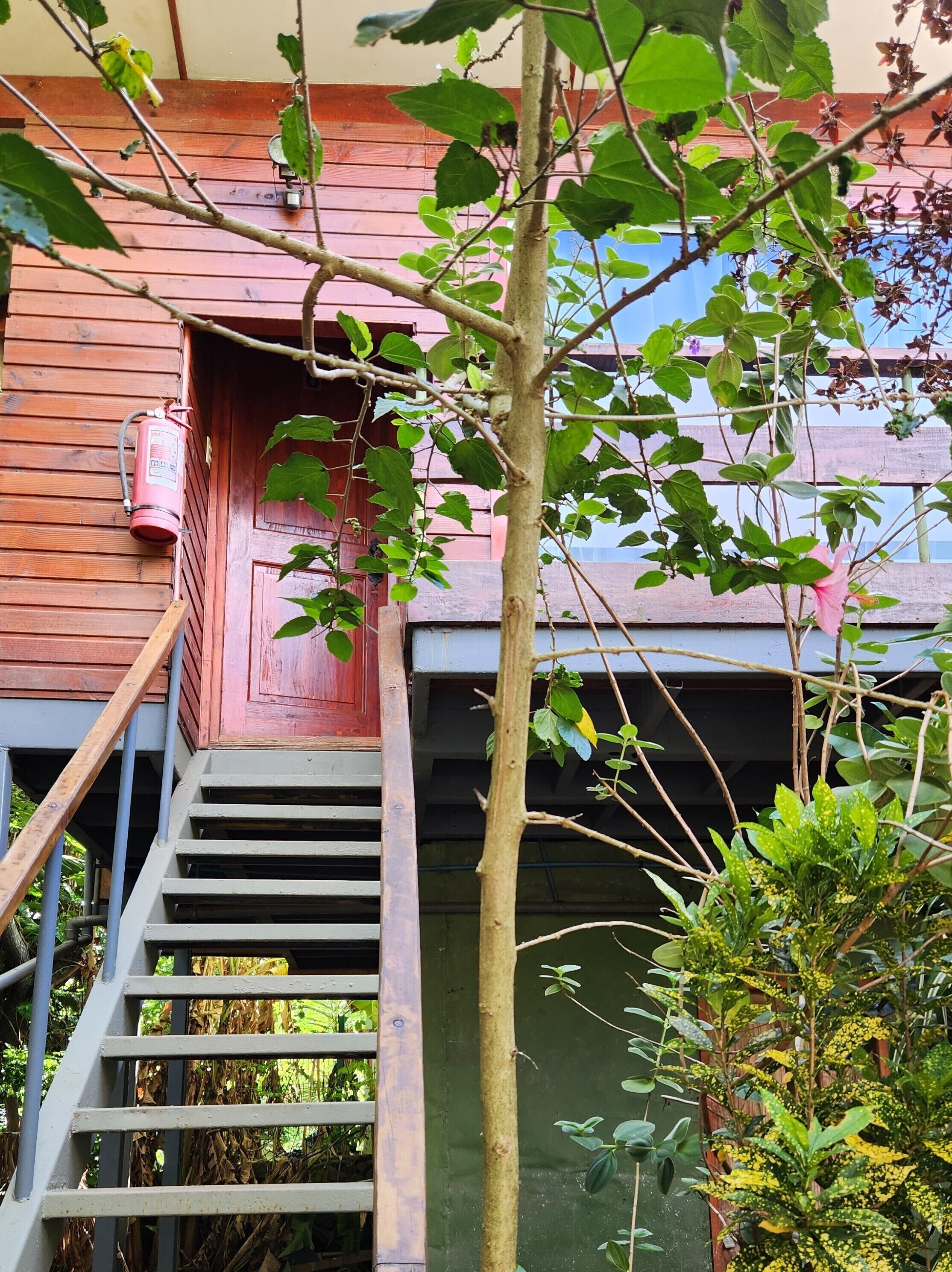 高級小屋, 1 間臥室, 非吸煙房, 廚房 | 露台/庭院