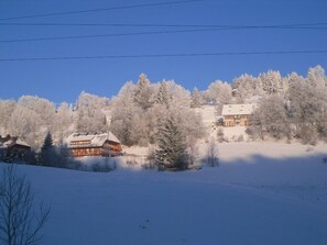 View from property - Landgasthaus Gemsennest (Feldberg)