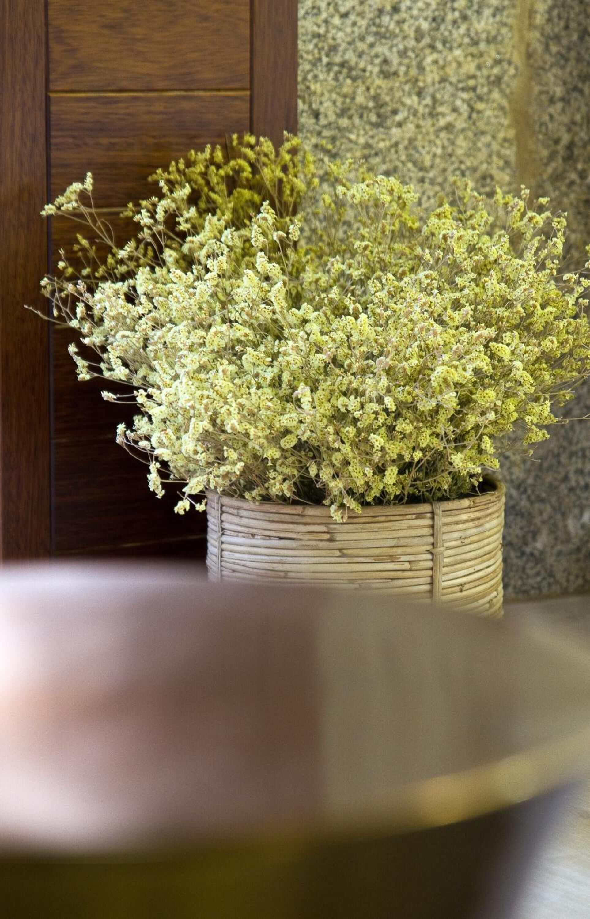 A potted plant with white flowers on a wooden table.