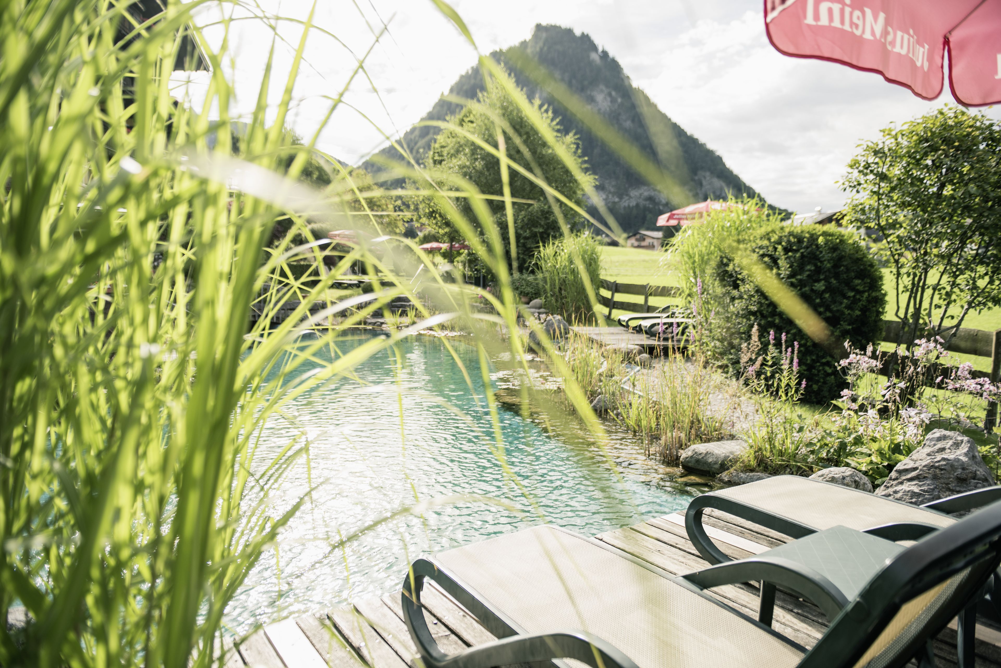 Une terrasse en bois avec des chaises longues donnant sur un petit étang, entourée de verdure et avec une montagne en arrière-plan.