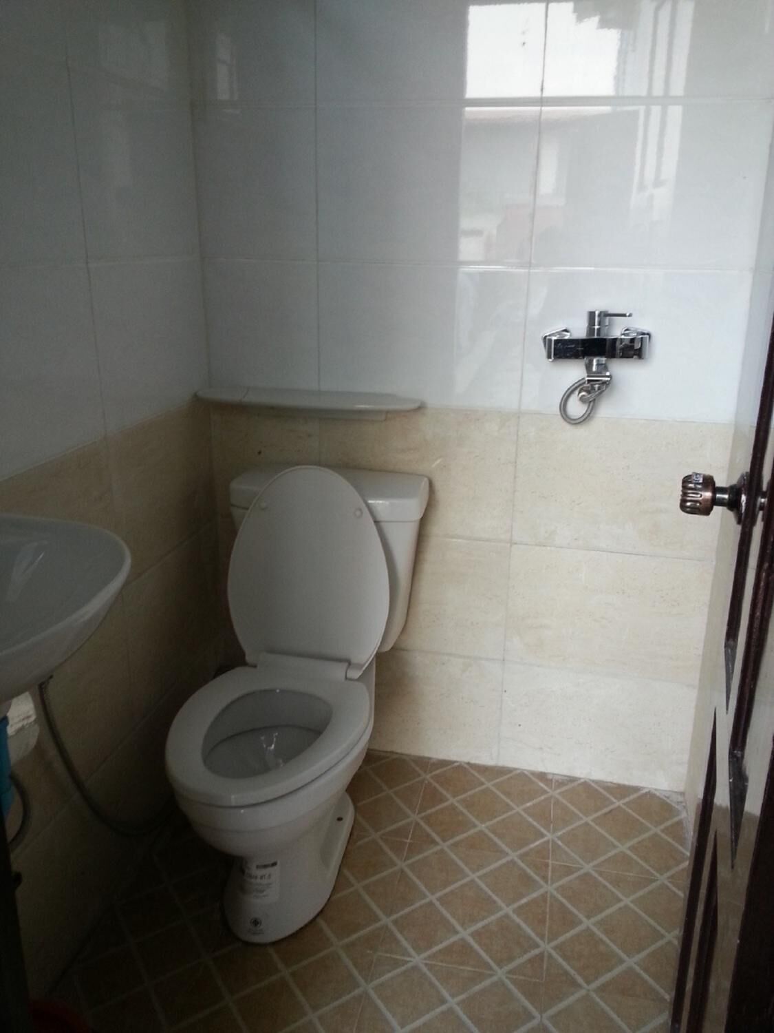 A small bathroom with a toilet, a sink, and a shower attachment.