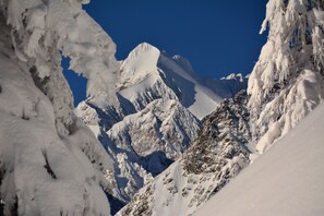 Ulkopuoli