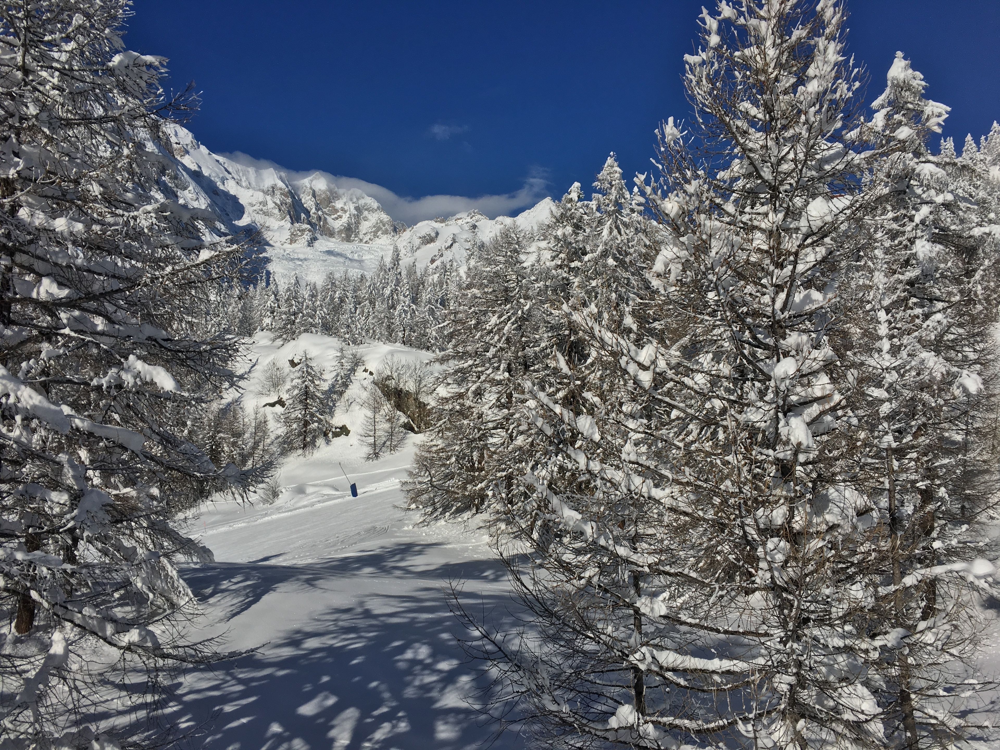 Ein verschneiter Bergpfad, gesäumt von Bäumen.