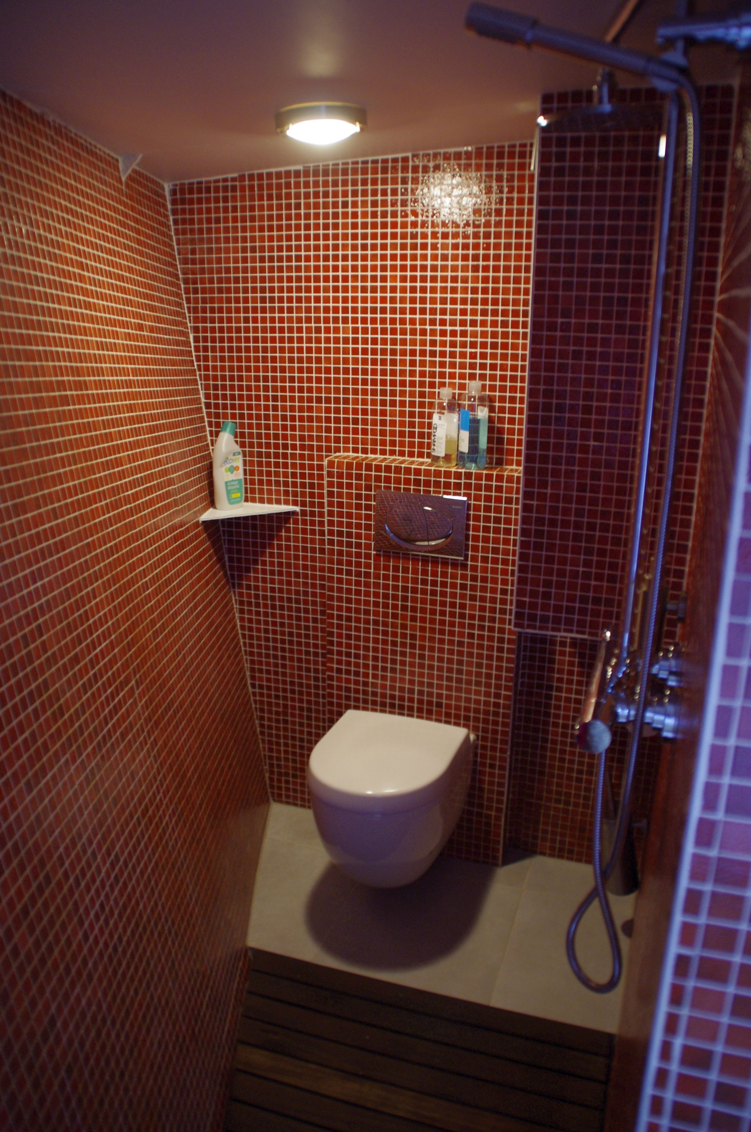A small bathroom with a toilet, a shower, and a shelf with toiletries.