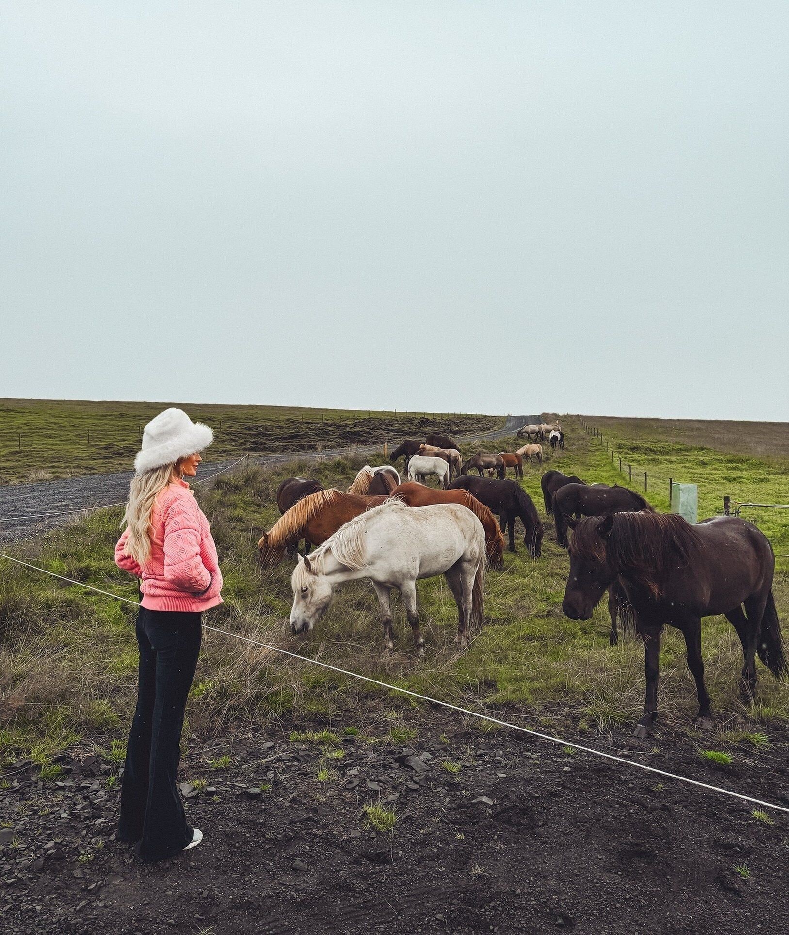 A person standing by a fence watching a group of horses grazing in a field.