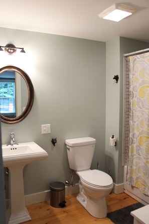 Combined shower/tub, hair dryer, towels, soap