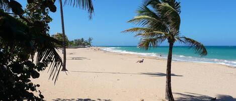 Una spiaggia nelle vicinanze