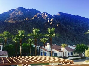 A residential area with houses, palm trees, and a mountain in the background.