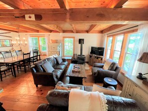 Smart TV, fireplace, Netflix, books