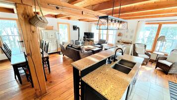 Smart TV, fireplace, Netflix, books