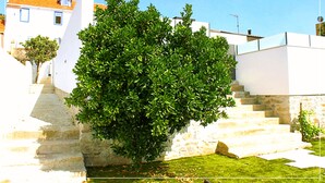 A staircase leading up to a white building with a tree in front. - Casa do Salgueiral Douro (Peso da Régua)