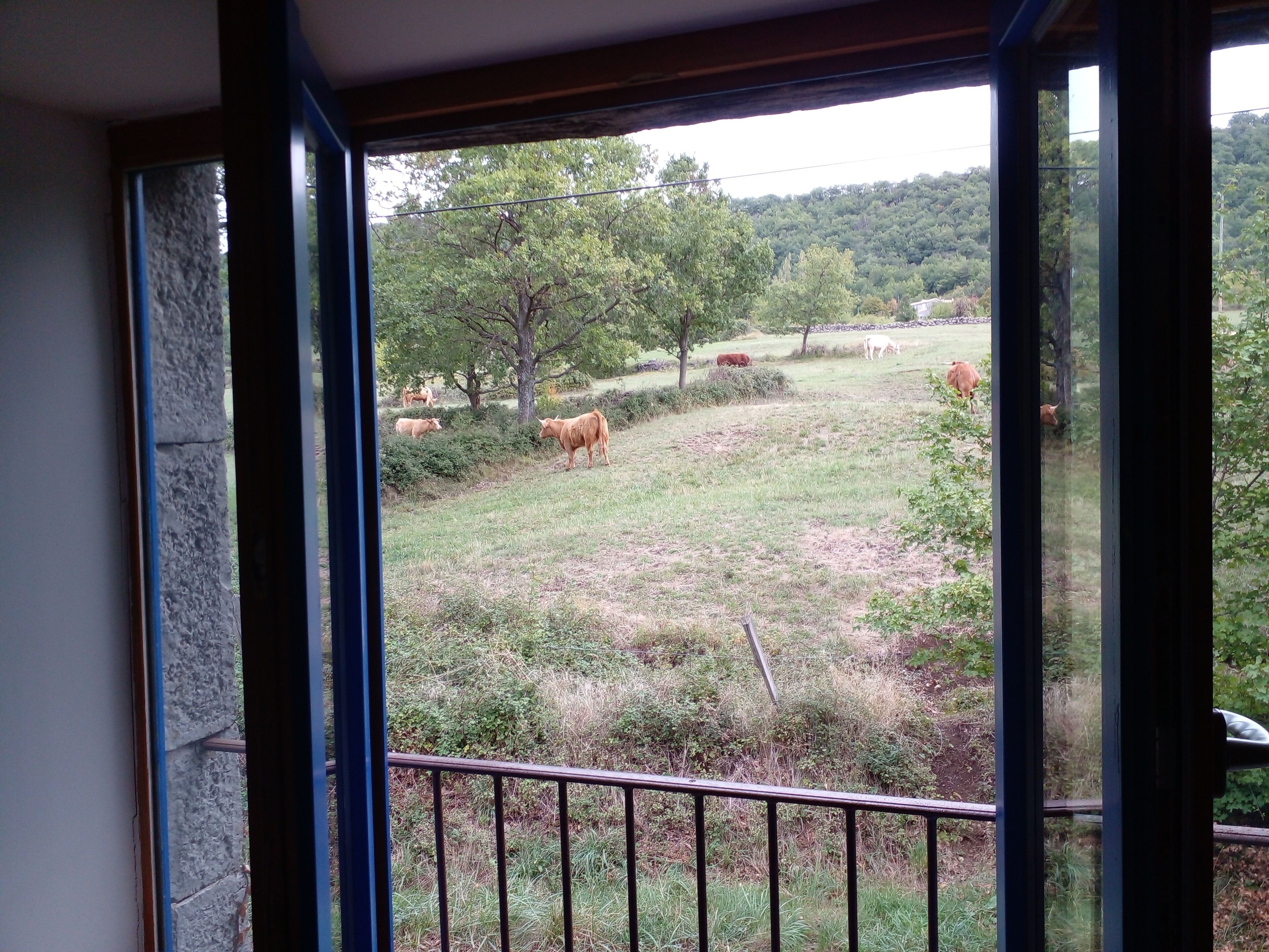Une vue depuis un balcon doté d’une balustrade en métal, donnant sur un espace verdoyant avec des arbres et des vaches.