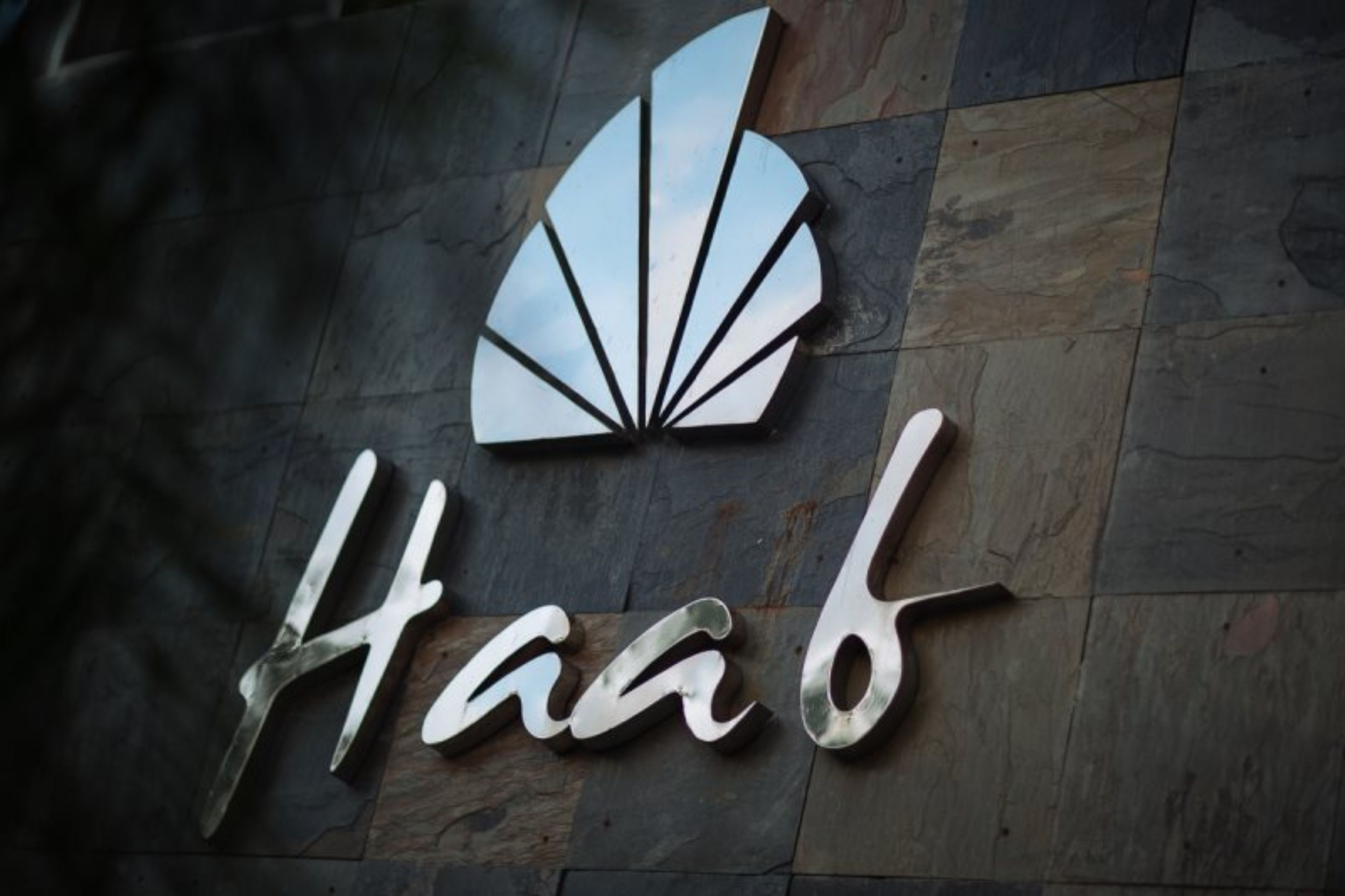 A logo with a stylized shell and the word "Haab" on a stone surface.