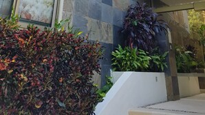 Un edificio moderno con una facciata in pietra a disegni geometrici, un evidente cartello con la scritta 'Hale' e una vegetazione rigogliosa in primo piano.