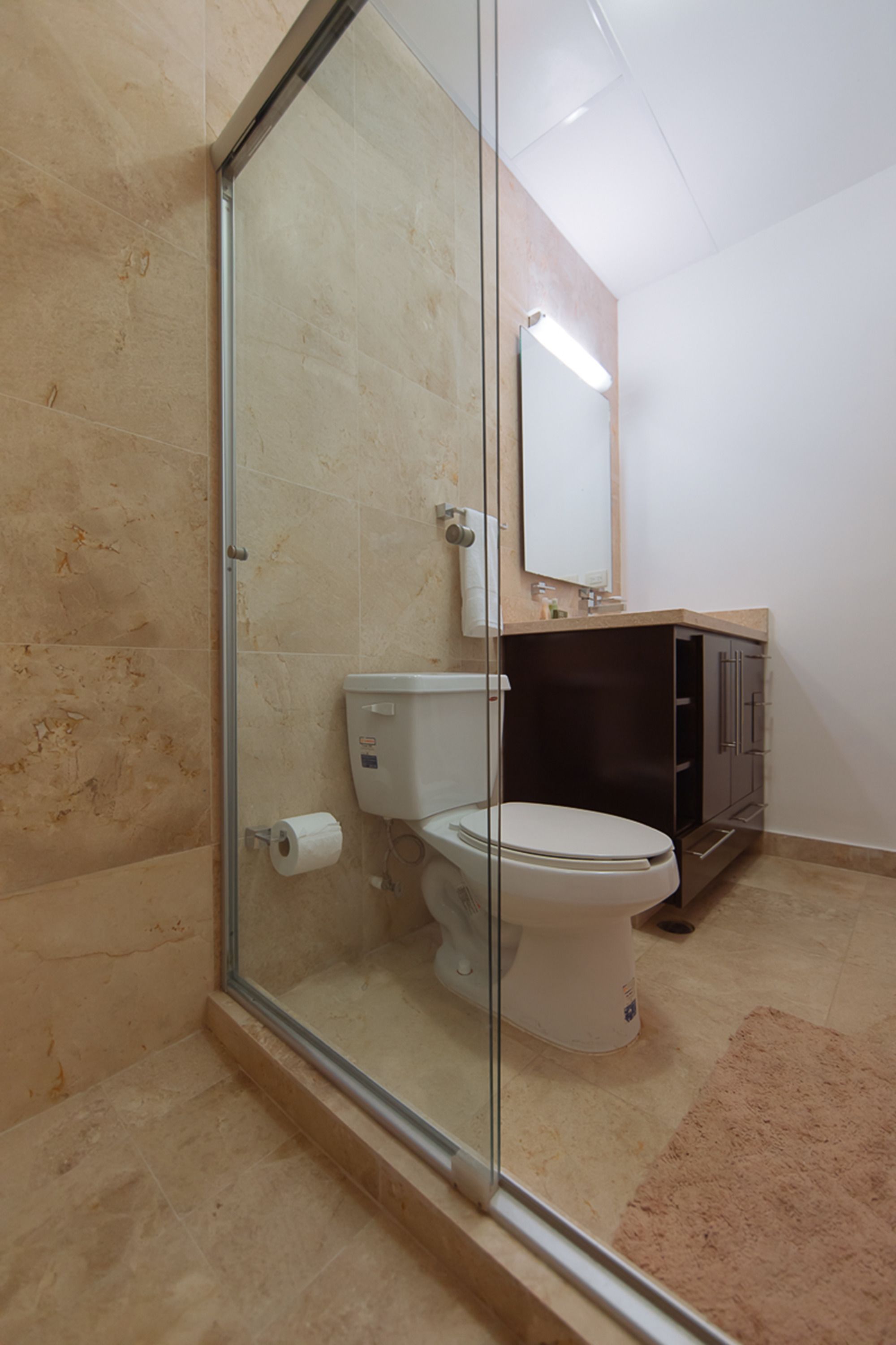 A bathroom with a glass shower enclosure, a toilet, and a sink with a mirror above it.