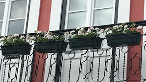 Eine Gebäudefassade mit drei schwarzen schmiedeeisernen Balkonen, jeweils mit einem Blumenkasten, der weiße und rosafarbene Blumen enthält.