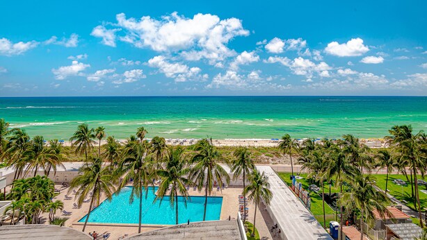 A poolside view with a clear blue sky, ocean, and palm trees. - Beach Front Studio (Miami Beach)