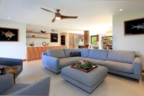 Smart TV, DVD player, books, music library