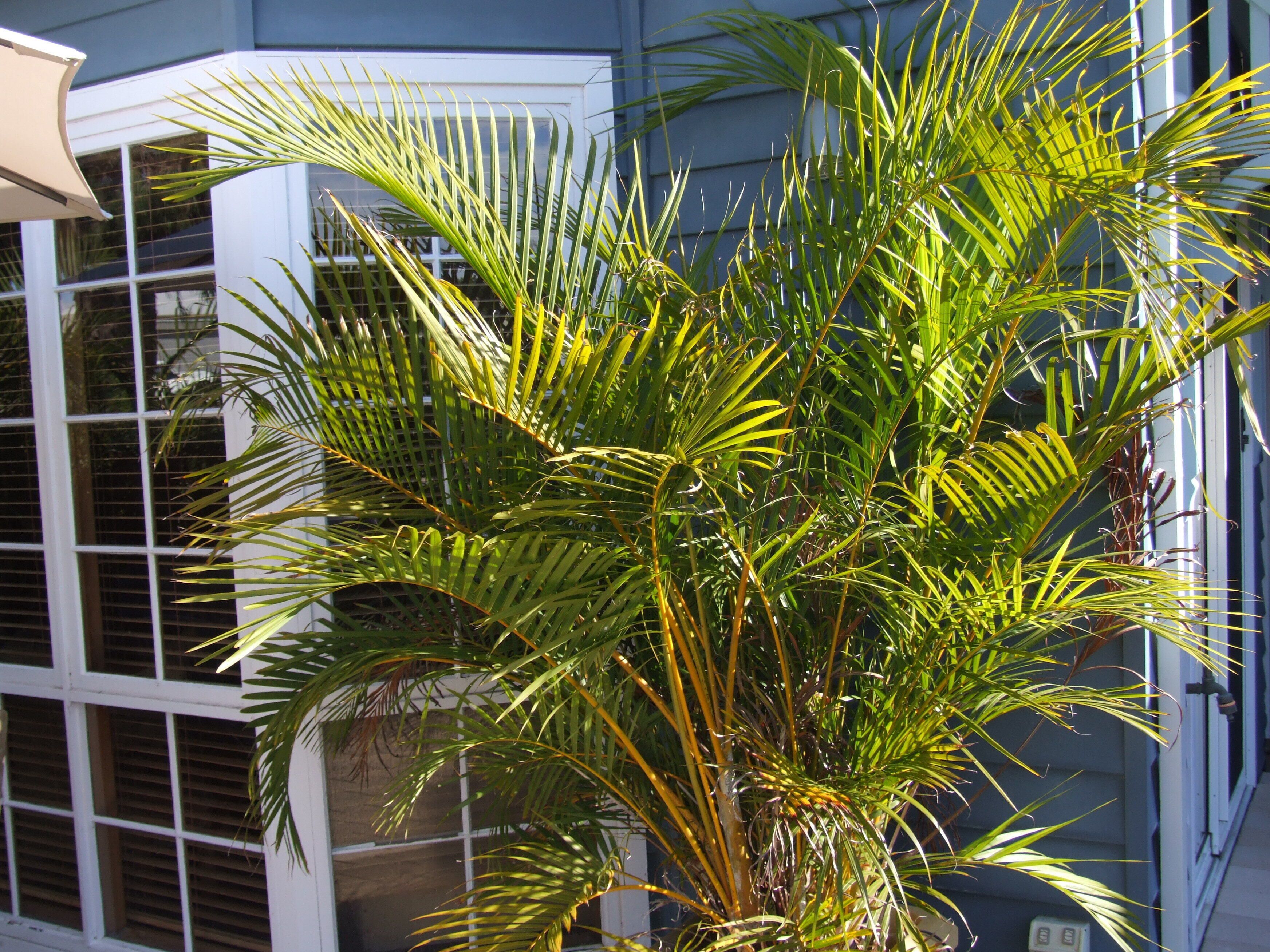 Pelicans Rest Shoalwater Bay\nPelican Retreat — image 18