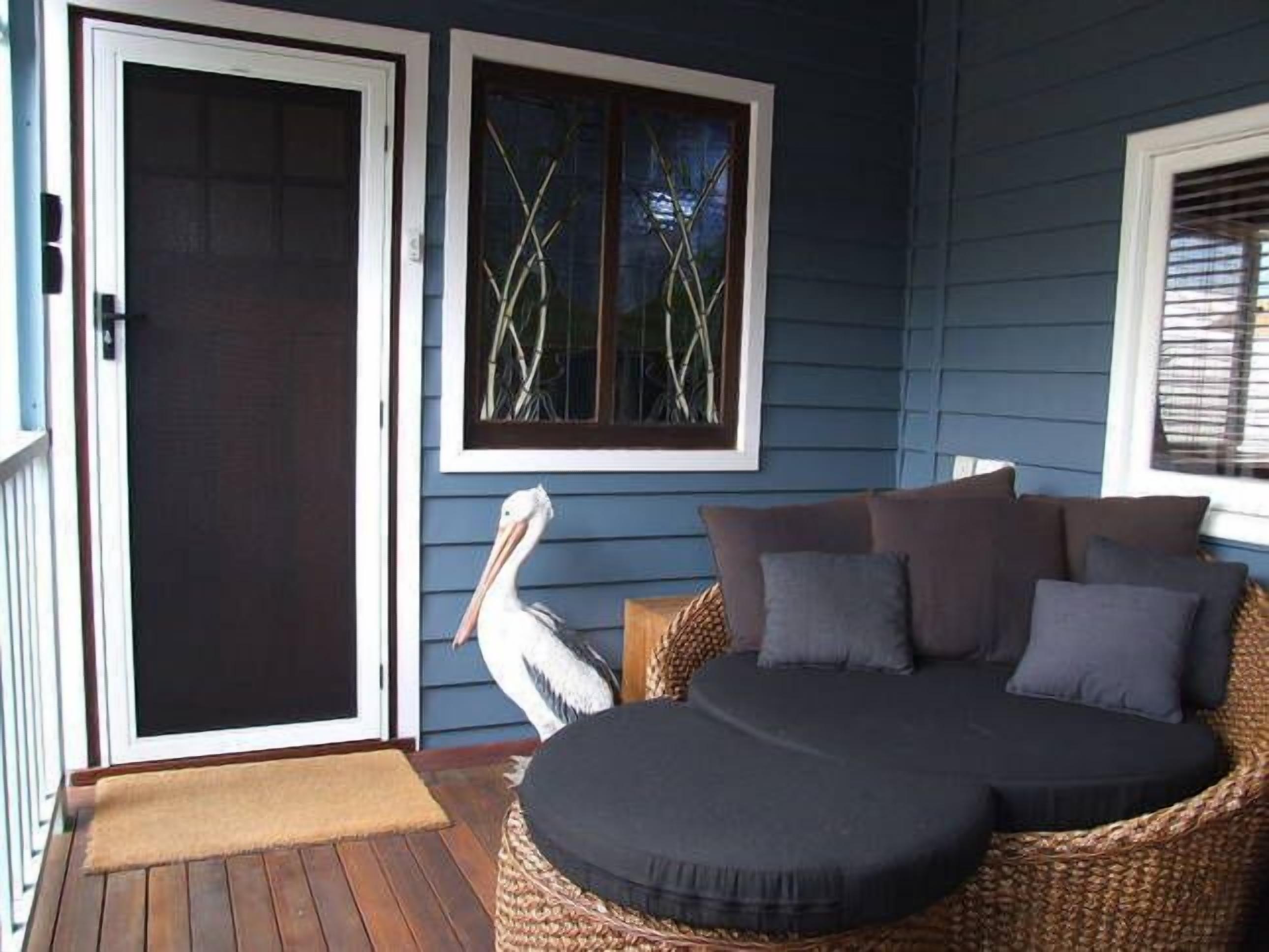 Pelicans Rest Shoalwater Bay\nPelican Retreat — image 5