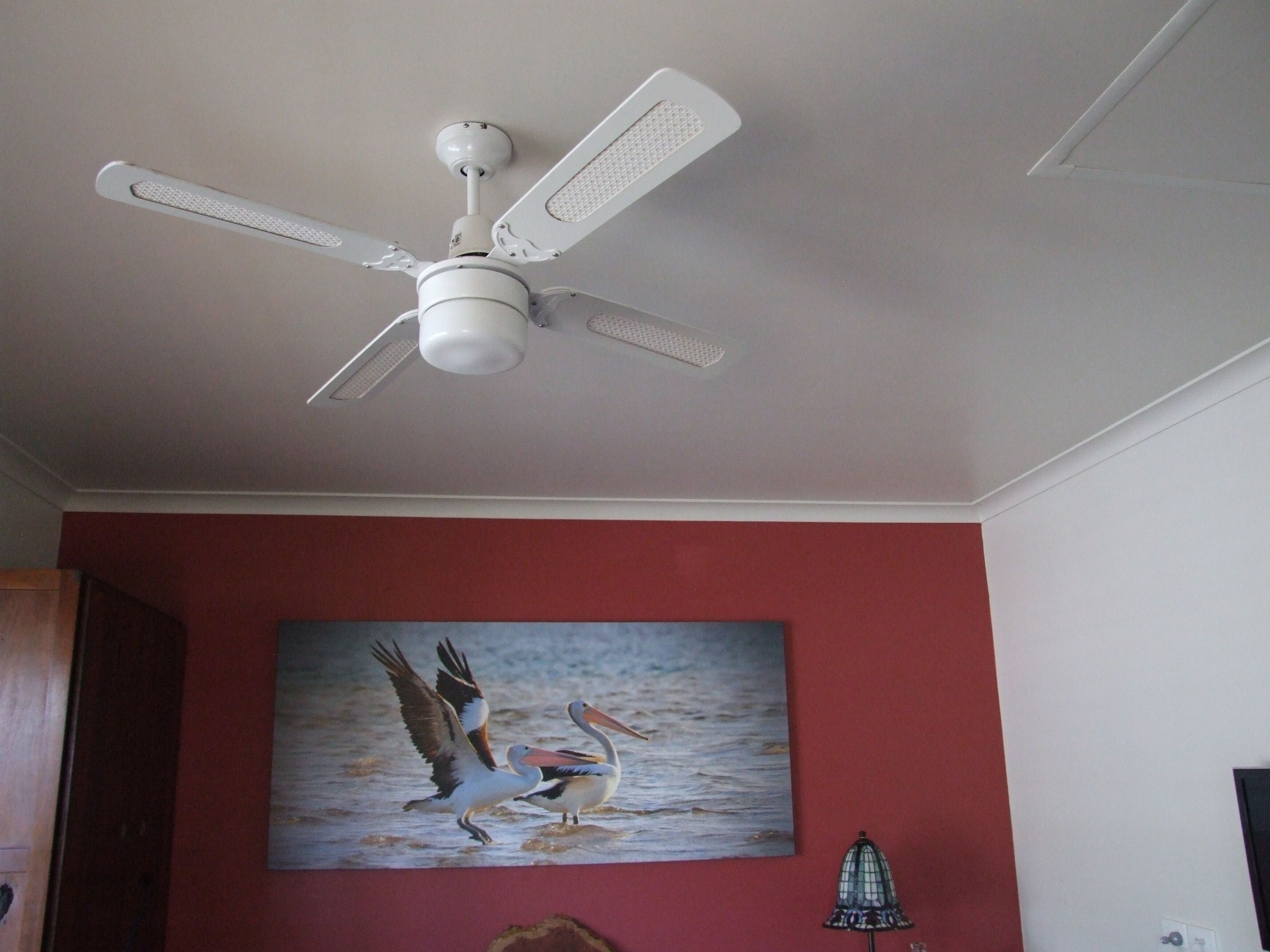 Pelicans Rest Shoalwater Bay\nPelican Retreat — image 6