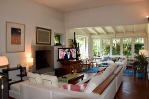 Smart TV, fireplace, books, computer monitors