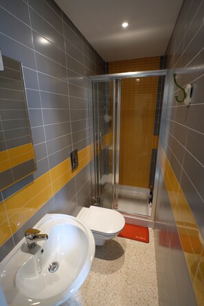 Combined shower/tub, hair dryer, bidet, towels