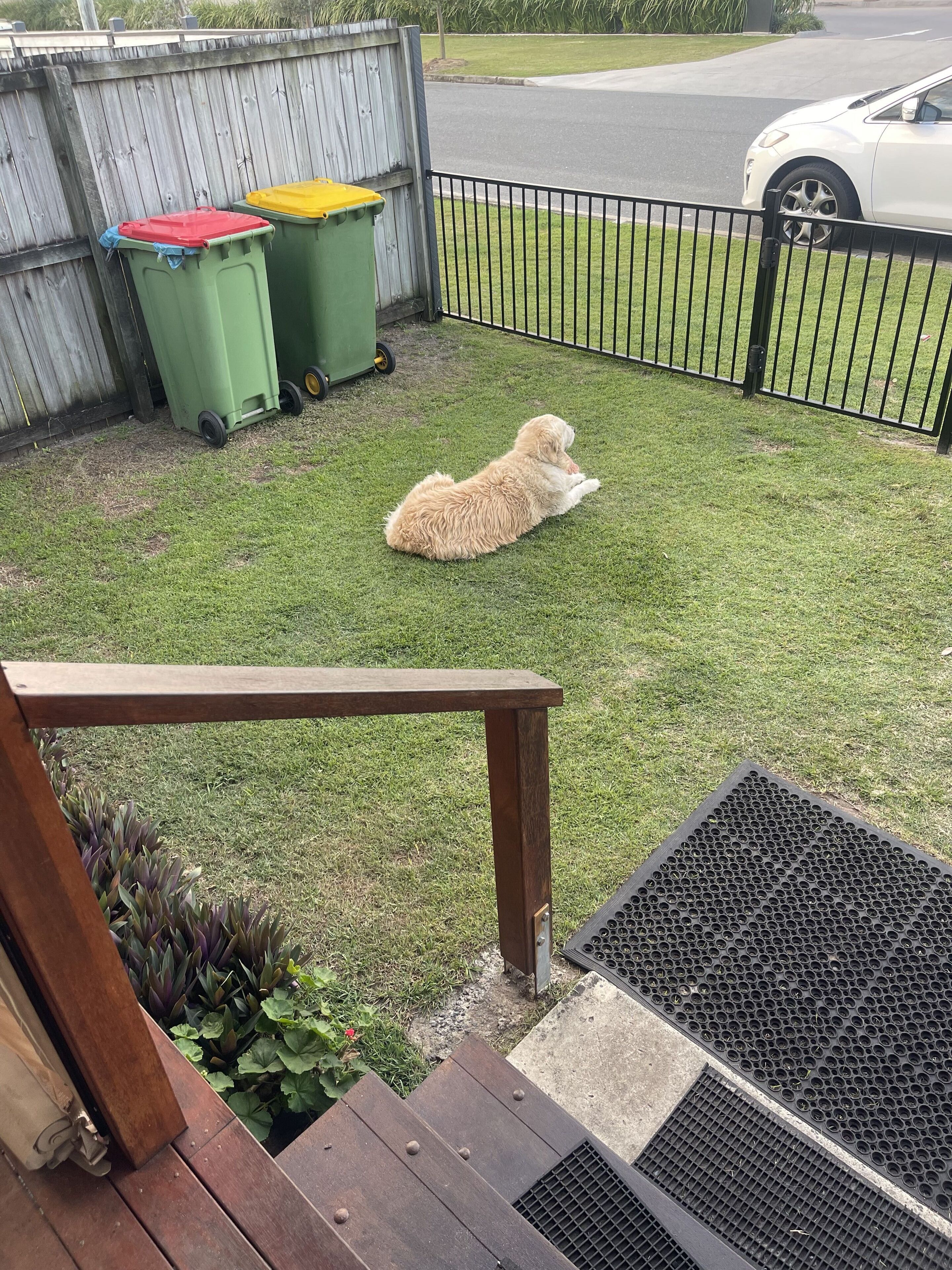 Seas The Day - Beach Holiday just 300 meters to beach and village. Pet friendly — image 14