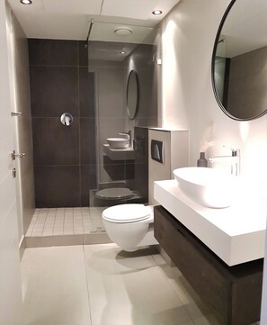 Combined shower/tub, hair dryer, towels