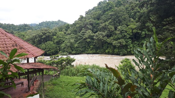 A riverside view with a wooden structure and lush greenery. - Finca Tres Equis - Farm and Forest (Turrialba)