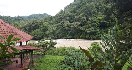 Finca Tres Equis - Farm and Forest