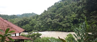 Finca Tres Equis - Farm and Forest