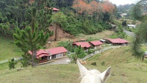 A rural landscape with several red-roofed buildings, a white fence, and a horse's head in the foreground. - Finca Tres Equis - Farm and Forest (Turrialba)