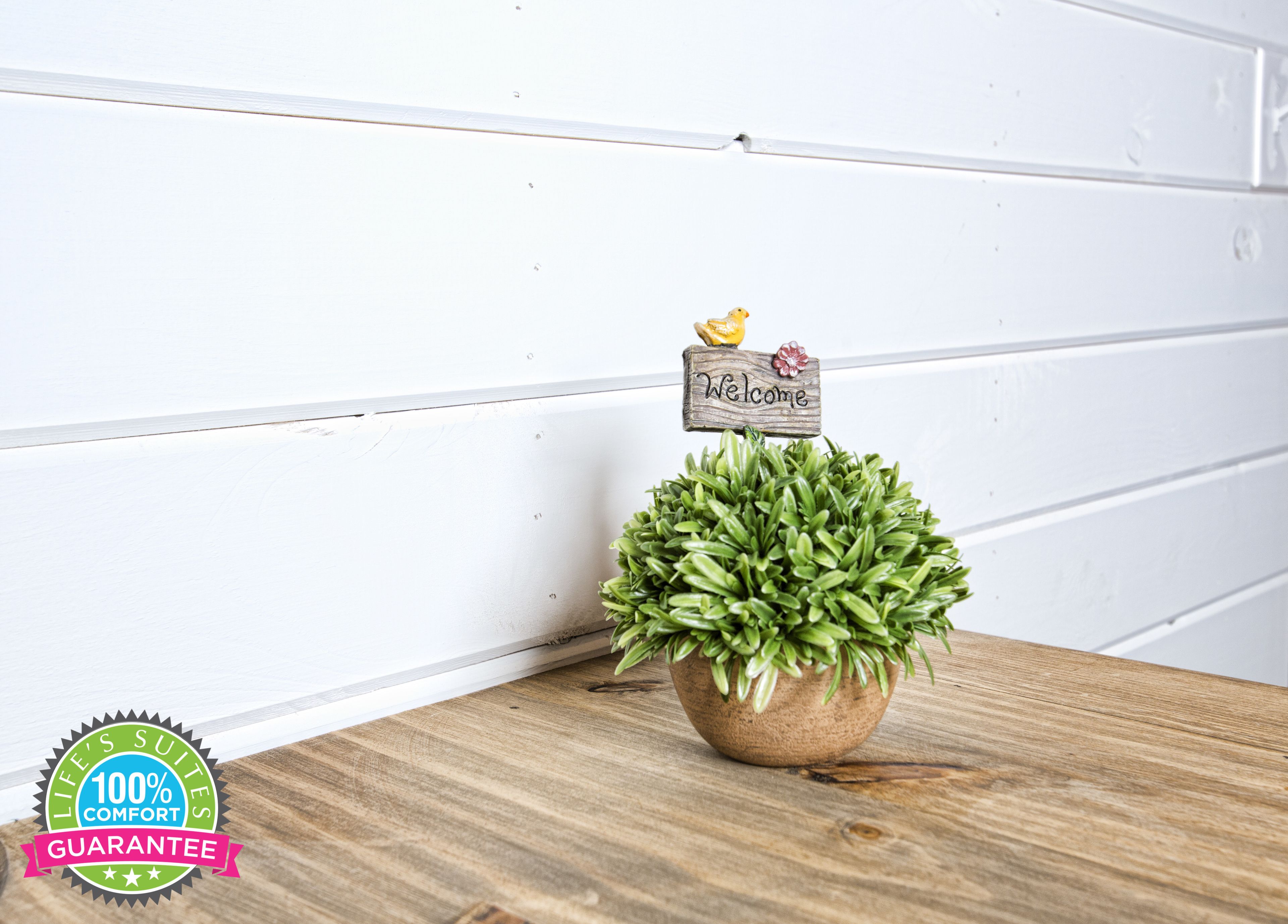 Una planta en maceta con un cartel que dice 'Welcome' sobre una superficie de madera, frente a una pared blanca.