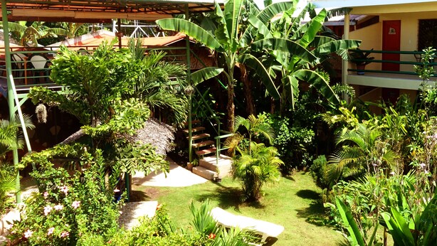 Un exuberante jardín con diversas plantas y una zona de estar cubierta.