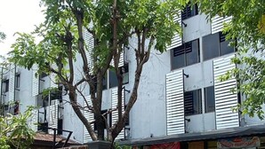 Un bâtiment avec une enseigne en langue locale, un arbre devant et une devanture de magasin ornée d’une banderole rouge.