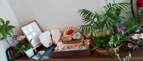 Una estantería de madera con diversos objetos decorativos, incluyendo un menú enmarcado, conchas marinas, un letrero de bienvenida y plantas en macetas.