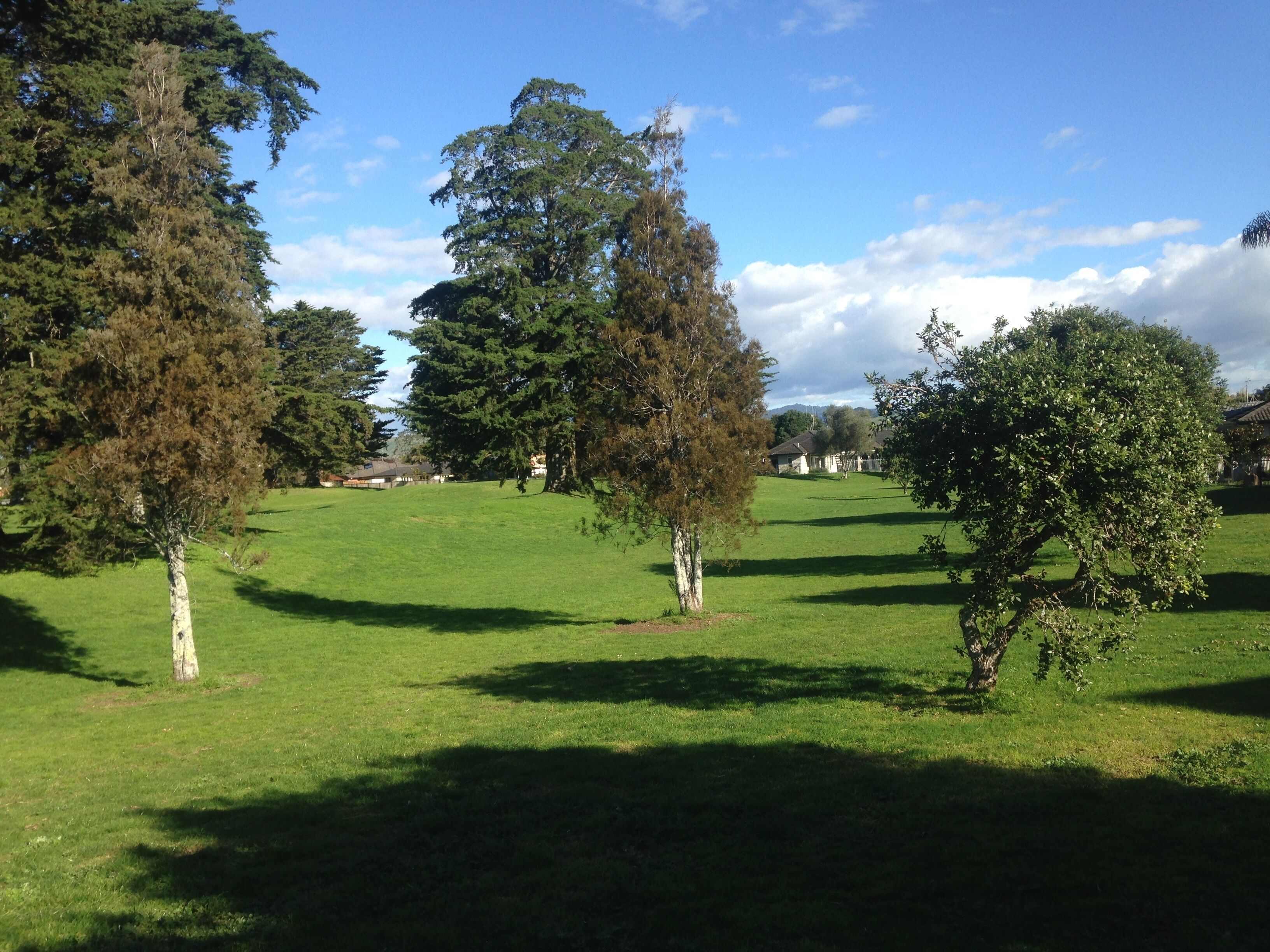 A grassy area with several trees and a few buildings in the background.