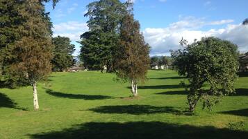 A grassy area with several trees and a few buildings in the background.