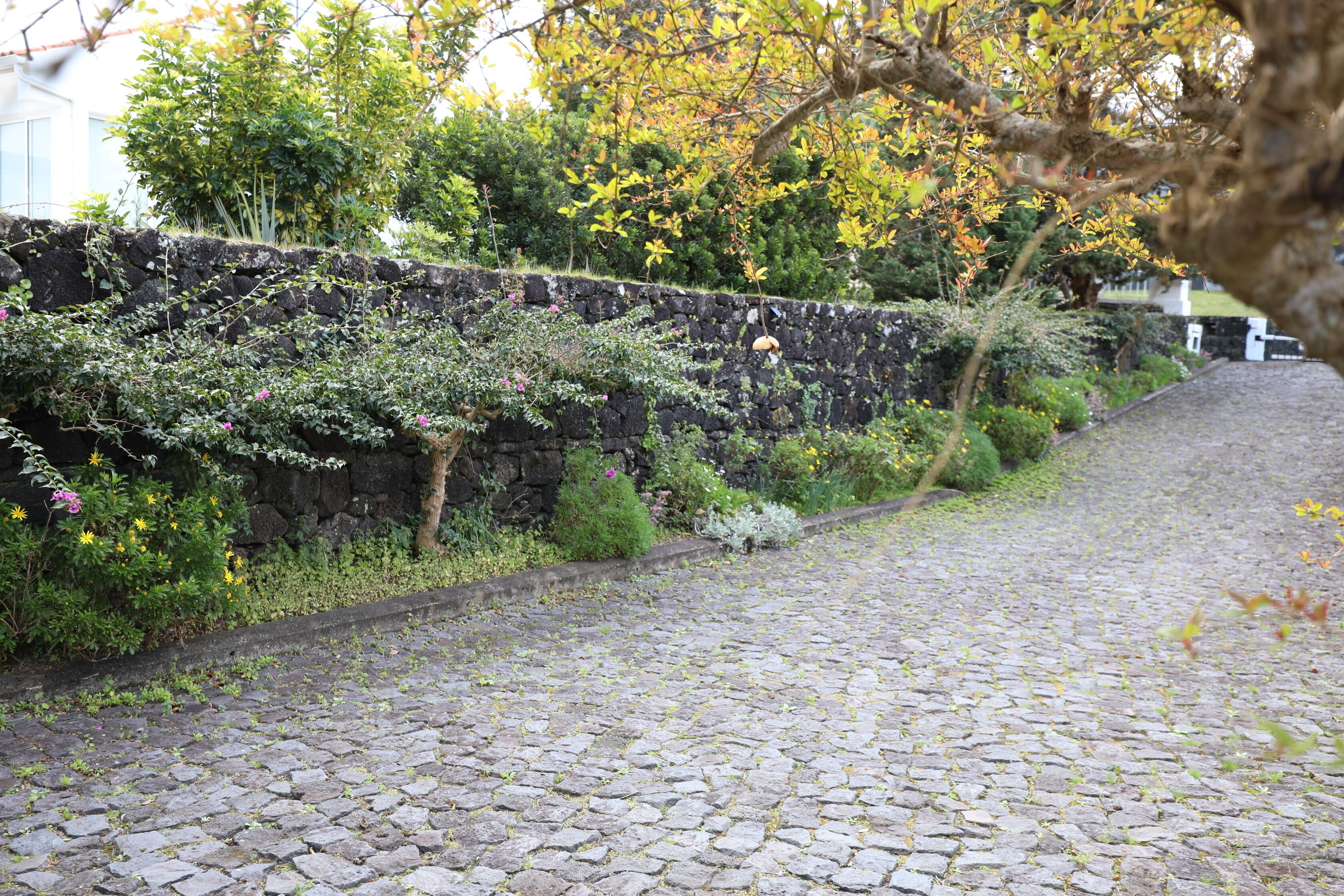 Áreas de la propiedad