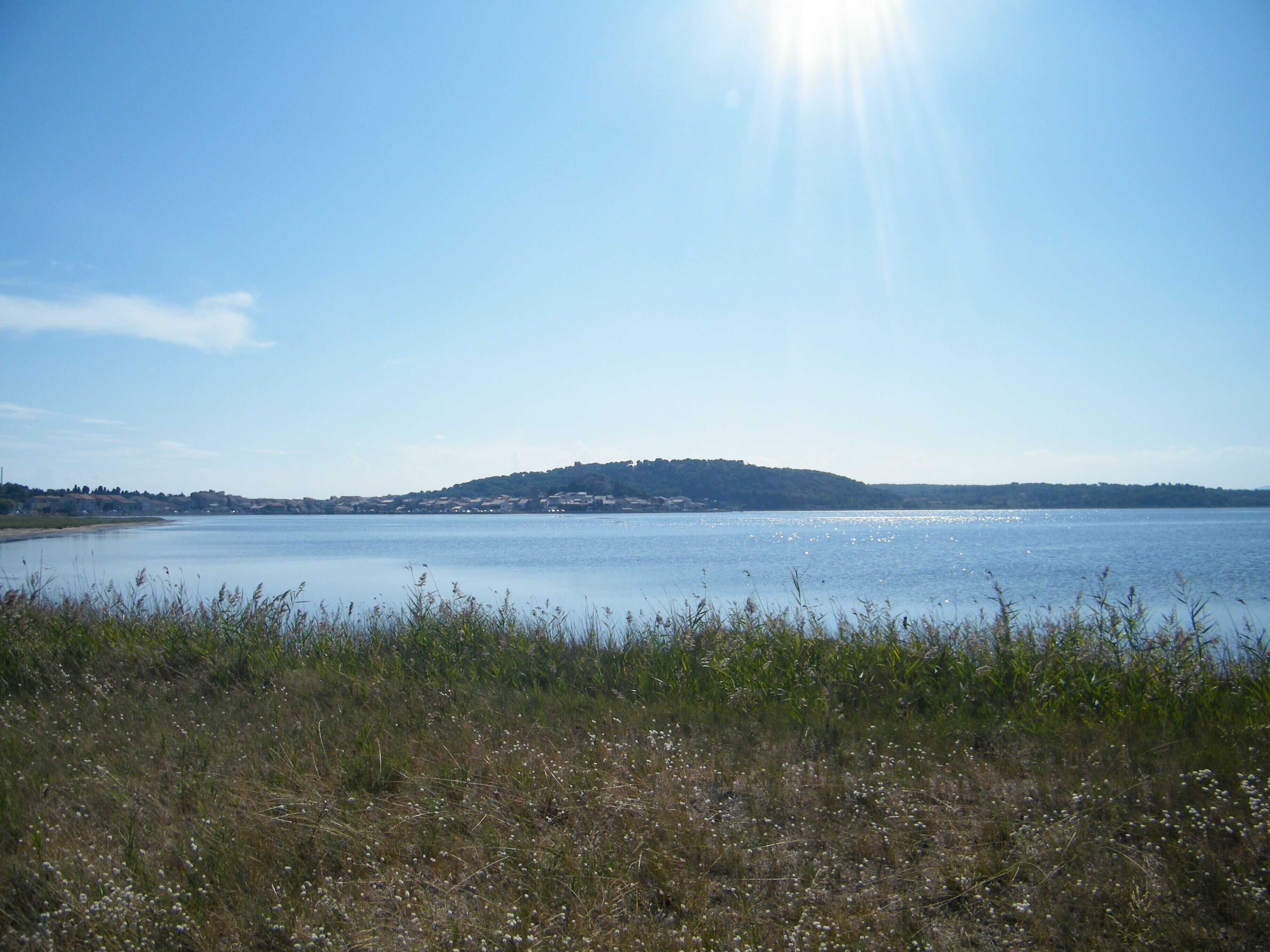 A calm lake with a distant hill, surrounded by grassy areas.