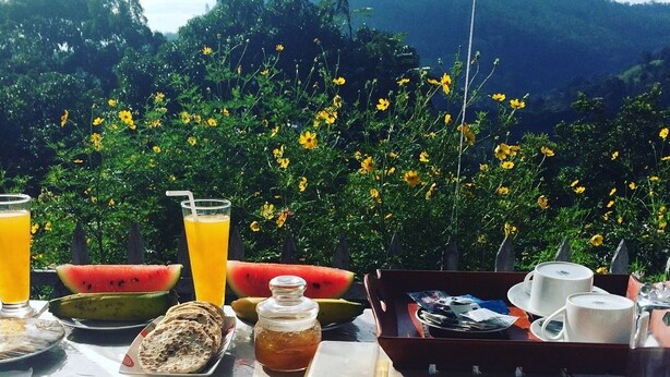 A breakfast table set with plates, cutlery, a fruit bowl, and drinks, overlooking a mountainous landscape with yellow flowers. - Zircon Ella (Ella)