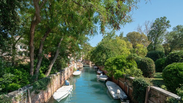 A narrow canal with boats docked on both sides, surrounded by lush greenery and trees. - Maison Valentina (Venice)