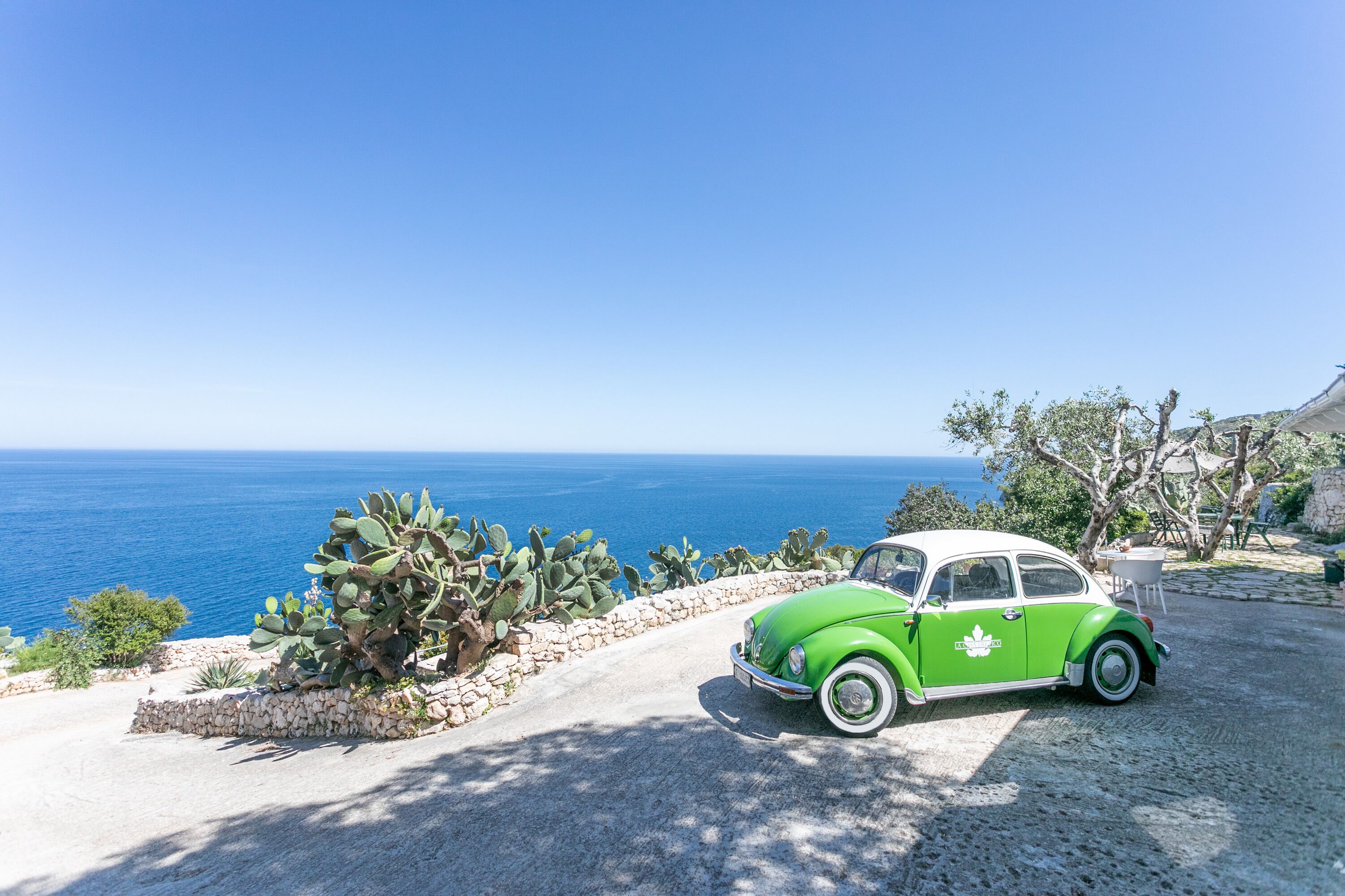 A green vintage car parked on a gravel path with a cactus garden and a view of the sea.